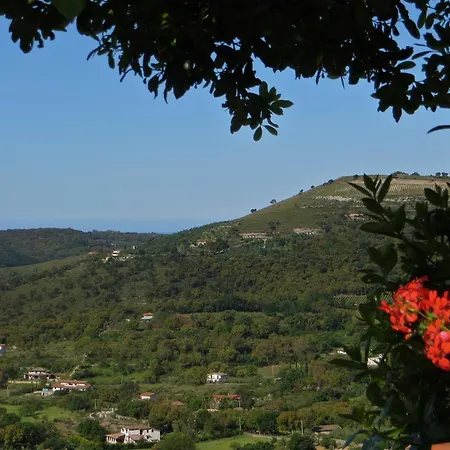 La Maison Galu' Bed & Breakfast