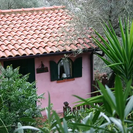 La Maison Galu'